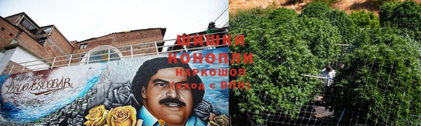 крисы Волосово