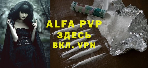 шишки Верея