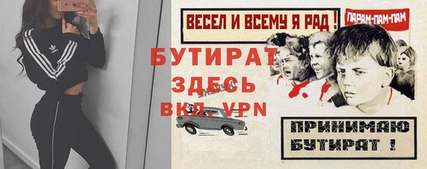 шишки Верея